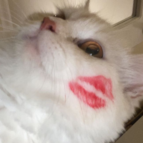 ويلي طلع جذاب ماعنده اي احباب💔