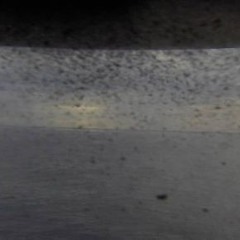 www.angelhour.webcam