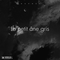 Le petit âne gris