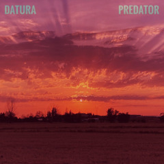 Datura - Predator