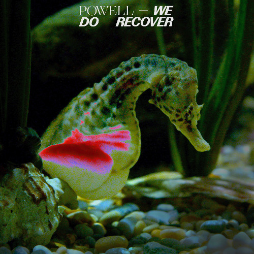 Powell 'Life' from We Do Recover [DIAG070]