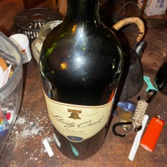 holiday in cambodia.m4a