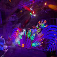 Festival Bass'cour 2025