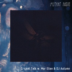 Cricket Talk w. Mor Elian & DJ Autumn [24.02.2023]