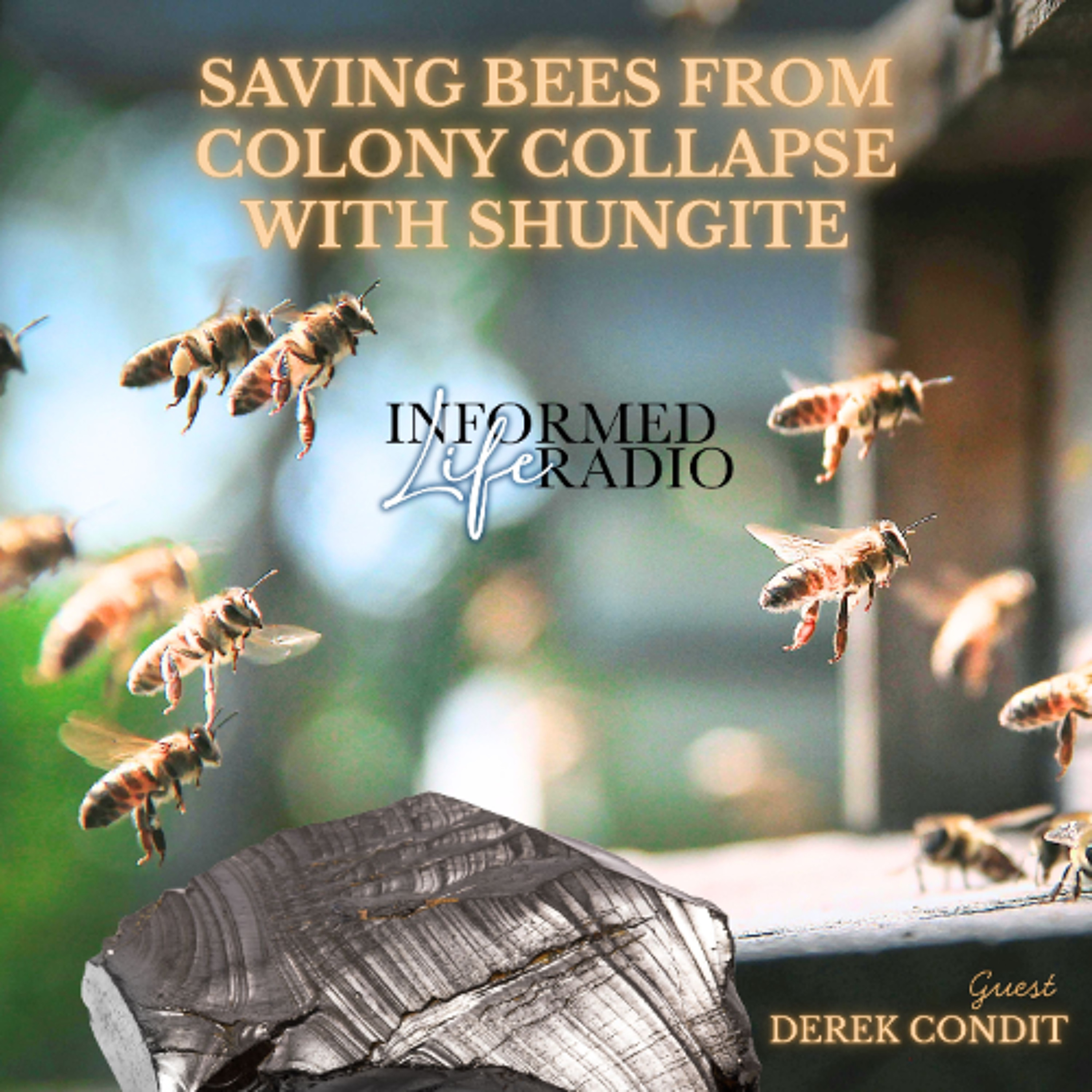 Informed Life Radio 07-03-26 Saving Bees from Colony Collapse—With Shungite