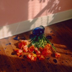 Timetable w/ Donovan Novotny 280422