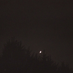 천천히 천천히 - 정원영 (cover)