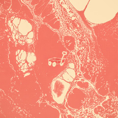 SMOKE (Prod. LunchBreakJake)