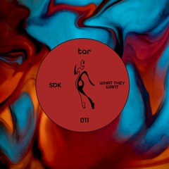 Premiere: SDK - What They Want [TOR]