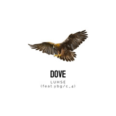 Dove