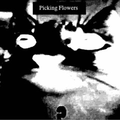 Picking Flowers- Full EP