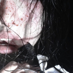 fenix - bloody massacre