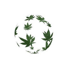 Half Moon presents: DREAM BLUNT ROTATION with Tromac
