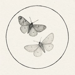 Gusts of Wind - Part I