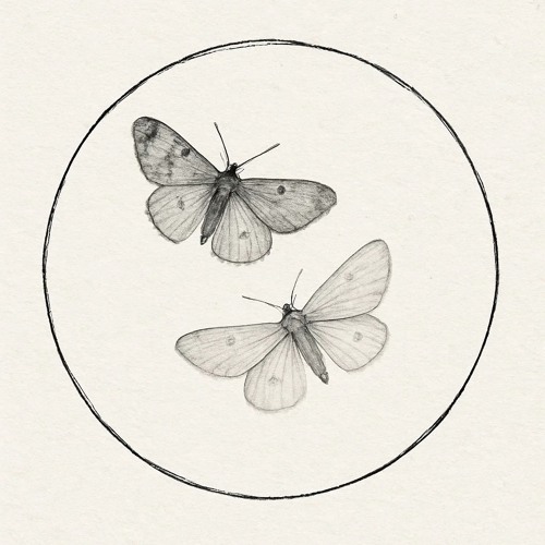 Gusts of Wind - Part I