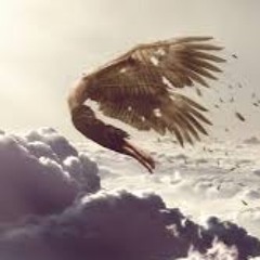 Falling (Slow Motion)