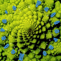 Nature’s Patterns