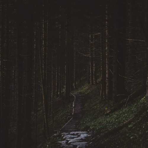 A.M.E.C.K. - MEAN SOMETHING(prod.fonywllace)