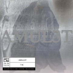 AMUL3T Ep. 8 - Skylab Radio