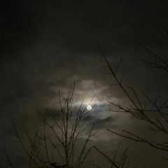 yung lean (prod. reid + qqq)