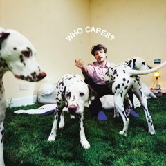 Rex Orange County "SHADE" WHO CARES?