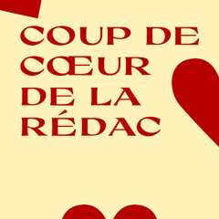 Le coup de cœur de la rédac - Timothée nous parle de la série Le Pingouin