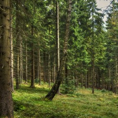 Kamienna Góra, Poland