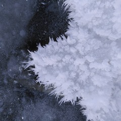 WINTER 2O23/24