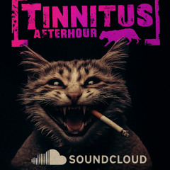 LARS ENQVIST-TINNITUS AFTERHOUR @RedCatLounge JULE 2025