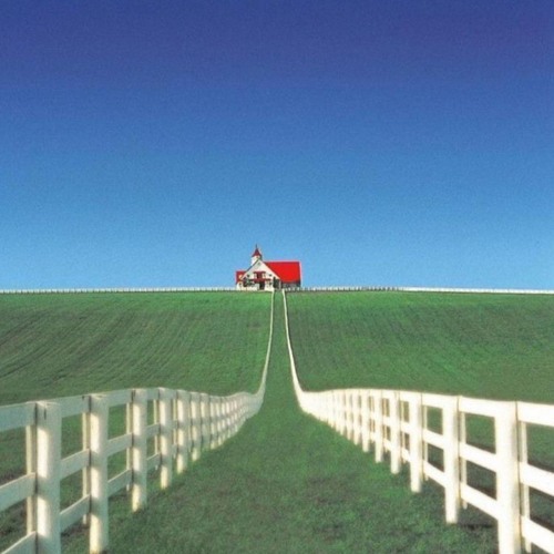 امس كنت فارس احلامها