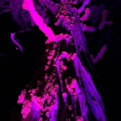 Never Give Up (featuring John Diamond) Remix 2.0.2.0