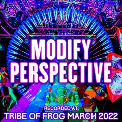 Modify Perspective - Recorded at TRiBE of FRoG Frogz in Space 2022 [Room 4]