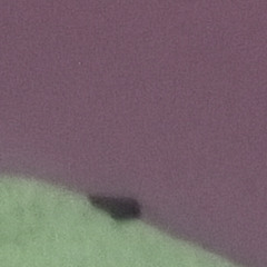 we all going die young  (prod. onceunveiled)