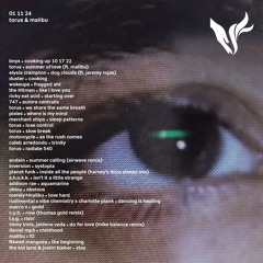 United In Flames w/ Torus & Malibu 011124