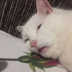 Nỗi Buồn Và Nước Mắt Demo#1