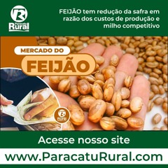 Mercado Do FEIJÃO - 16 - 02 - 22