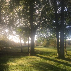 Highs & Lows(Ft.DAM!€N)