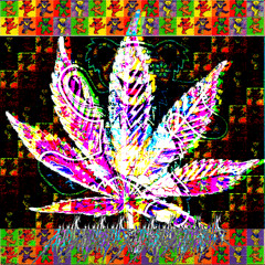 THC DISSOCIATION MAXXING