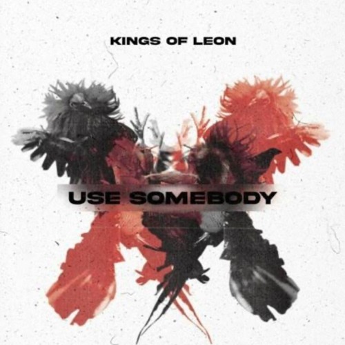 Kings Of Leon - Use Somebody ( Jr. Mix mash ) #FREE