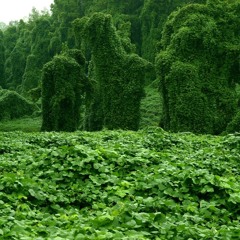 PARK MANAGEMENT [PROD. BROKEBWOY]