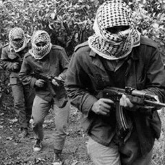 فوق التل وتحت التل || أناشيد الثورة الفلسطينية