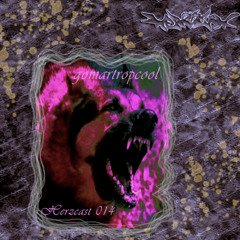 ✧gomartropcool✧₊°✧︡ Herzcast014 ˗ˋ ♡ ˎˊ ₊ -