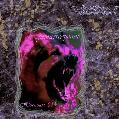 ✧gomartropcool✧₊°✧︡ Herzcast014 ˗ˋ ♡ ˎˊ ₊ -