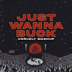 Just Wanna Rock (Unruely Mashup)