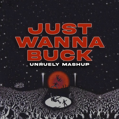 Just Wanna Rock (Unruely Mashup)