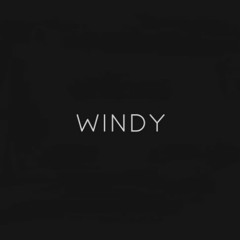 I Like It  - Windy Remix