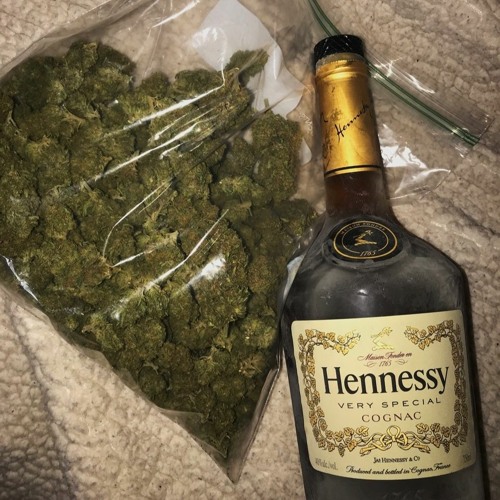 Stay In The House
