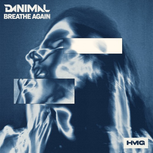 Danimal - Breathe Again