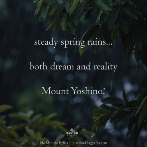 Dream and Reality - (naviarhaiku - 591)