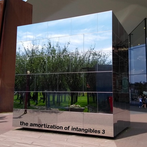 The Amortization of Intangibles 3
